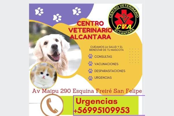 Veterinaria Alcántara Los Andes