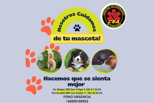 Veterinaria Alcántara Los Andes