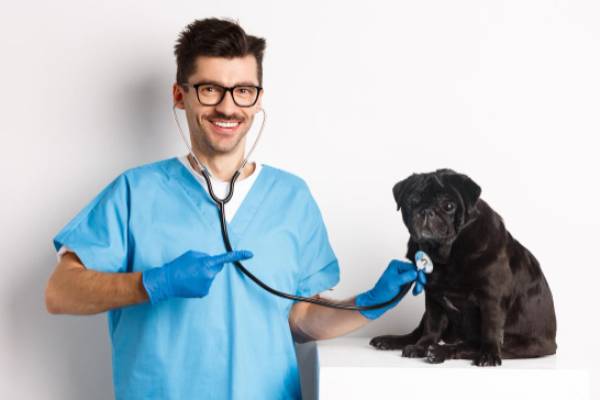 Cardiología Veterinaria